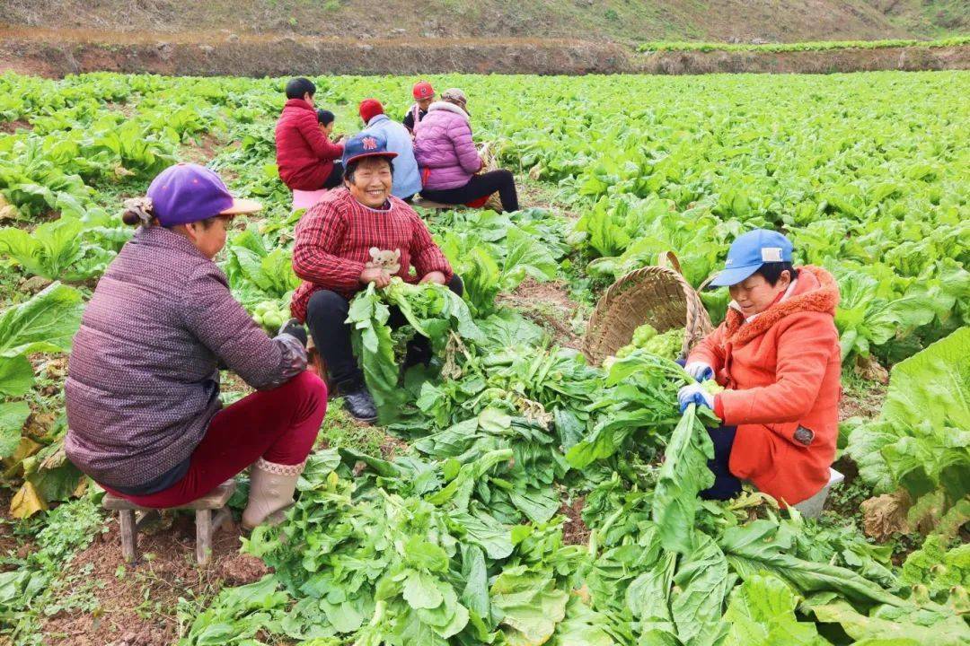 巴州区_巴中市_梁永镇