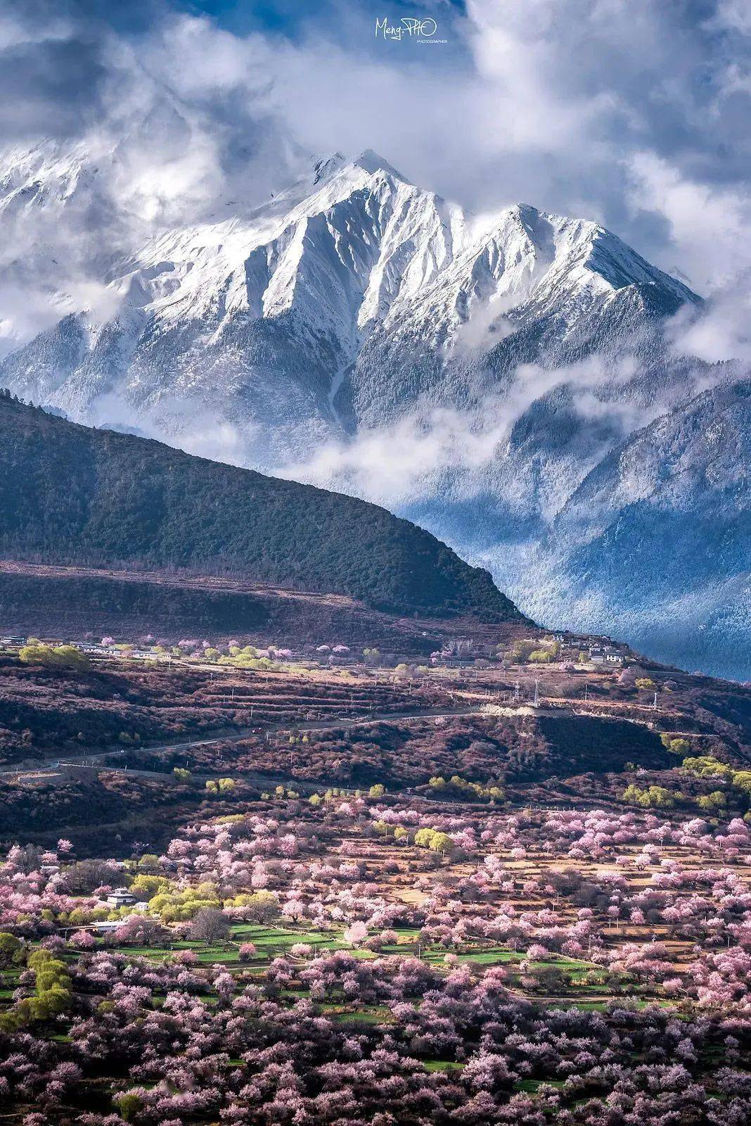 接下来的林芝就是国内赏花天花板!_桃花_雪山_西藏