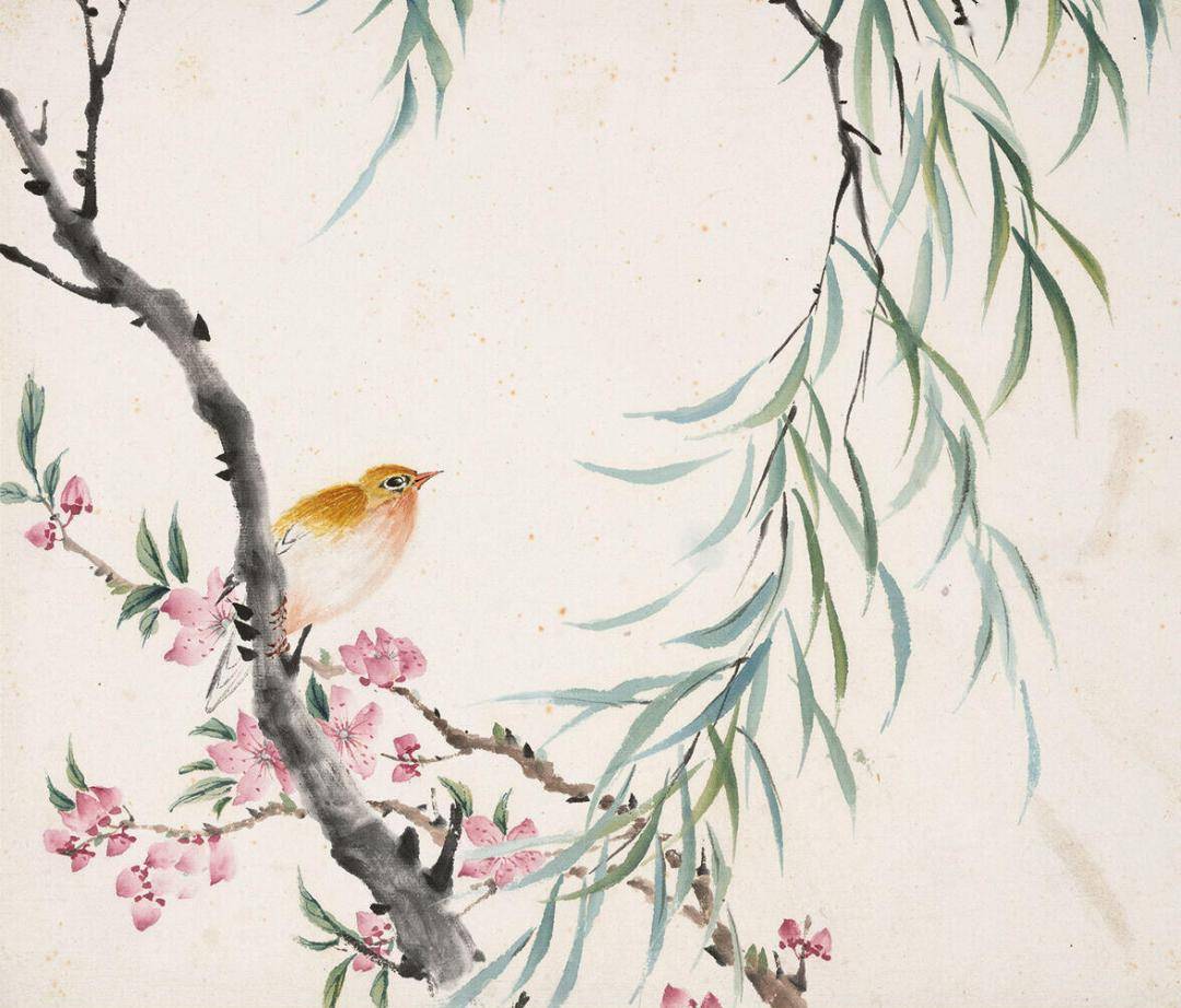 周炼霞花鸟册十二开,真美!_经典_高清_螺川