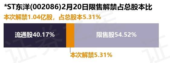 *st东洋(002086)1.04亿股限售股将于2月20日解禁上市,占总股本5.