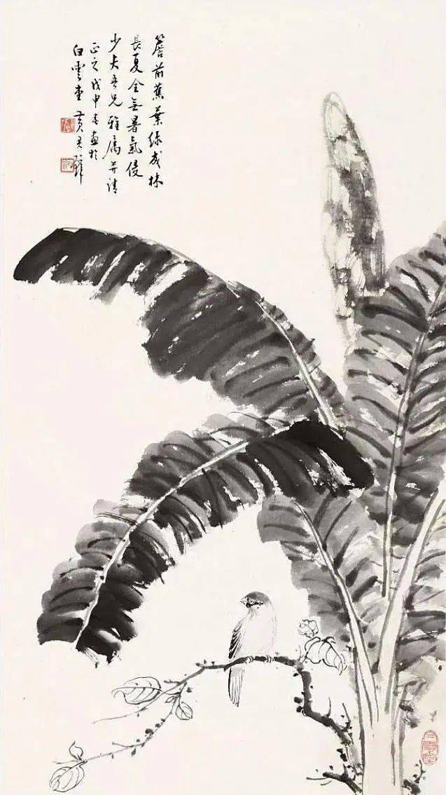 笔墨淋漓 赏芭蕉入画