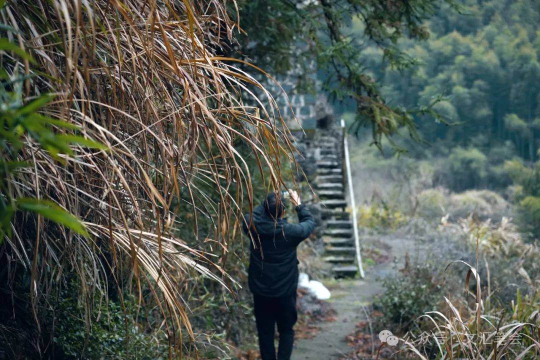 聊赠一枝春 | 陈成益_黄宗羲_黄尊素_梅花