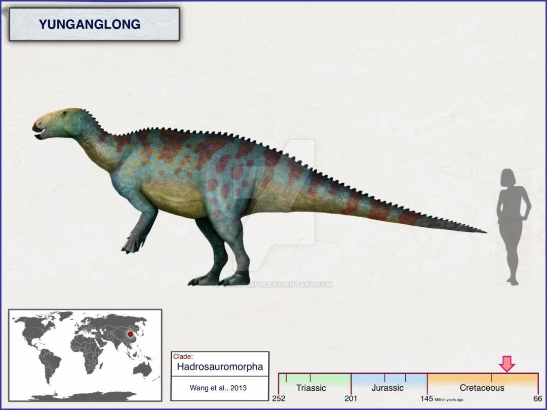 远古生物的化石,比如"邓氏贵州鱼龙""锯齿龙""霸王龙""鹦鹉嘴龙"等