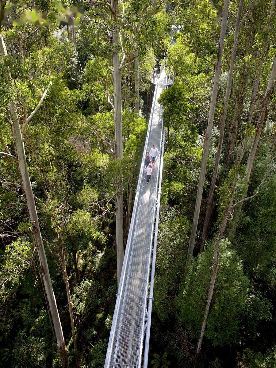 澳大利亚旅游局发布 2024 年旅行榜单(下)_雨林_stone_埃斯