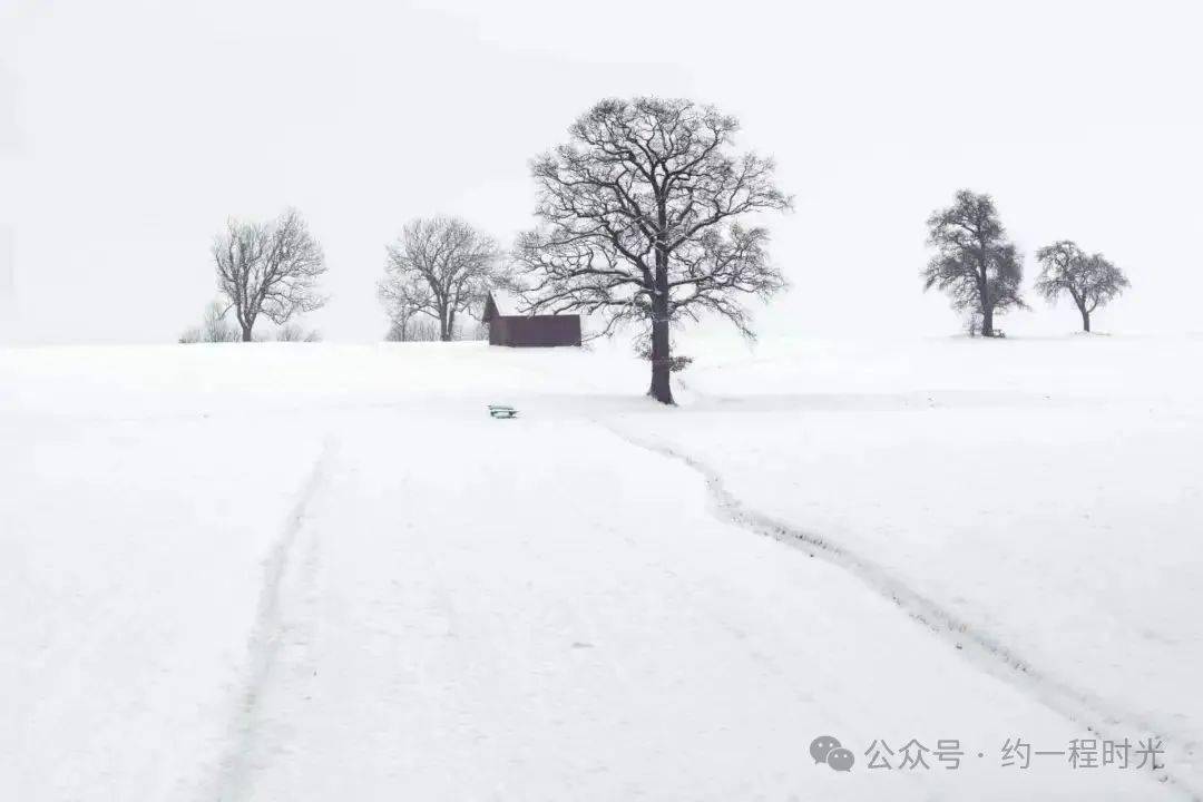 李娟:雪是多么不可思议的一种事物_脚印_什么_雪上
