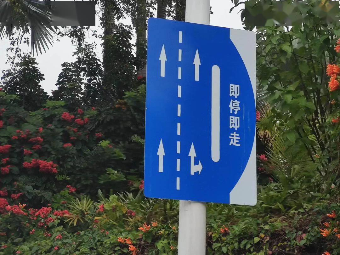 完工!5a级景区周边增设即停即走车位