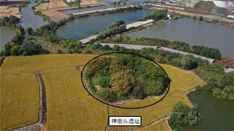 芜湖两处遗址开启主动性考古发掘_安徽省_繁昌_墩头