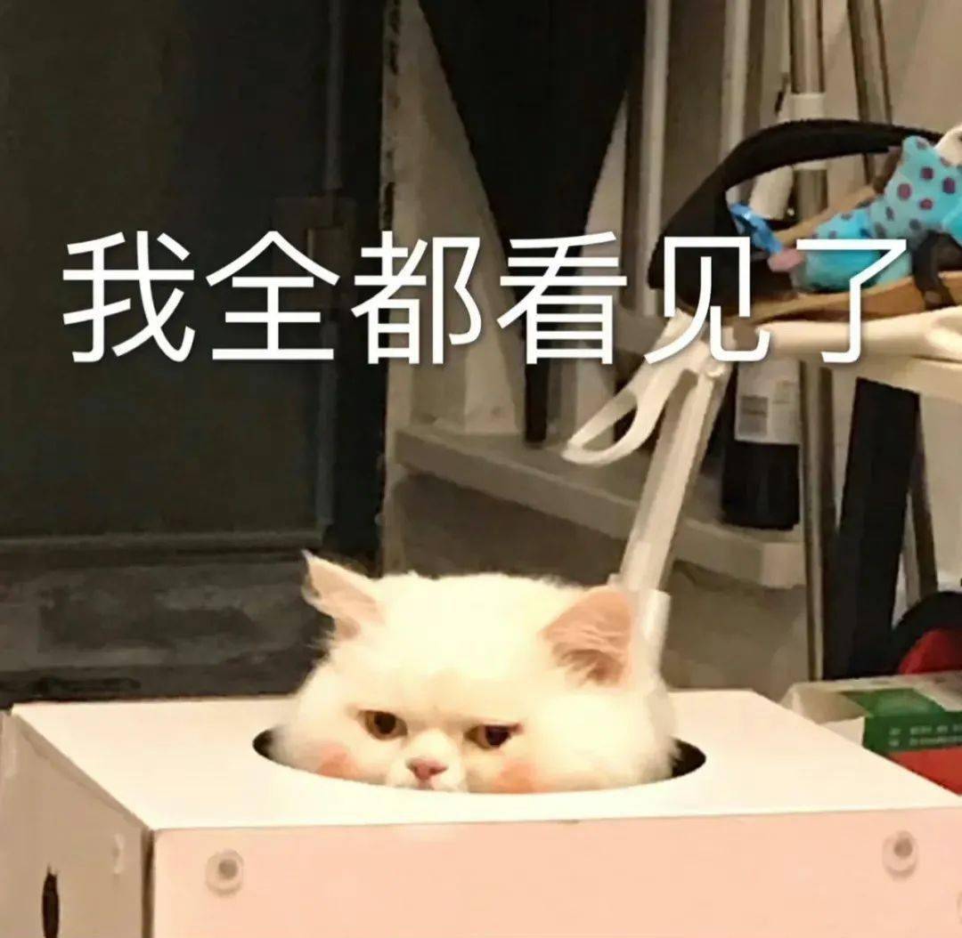 沙雕可爱表情包:你学历是胎教吧?_公众_事情_什么