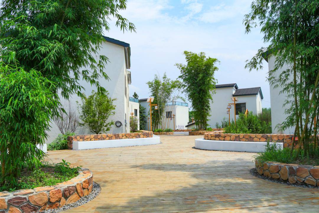 我们村的年轻人丨盘活林盘经济,推动乡村振兴_傅敏_梨园_田园