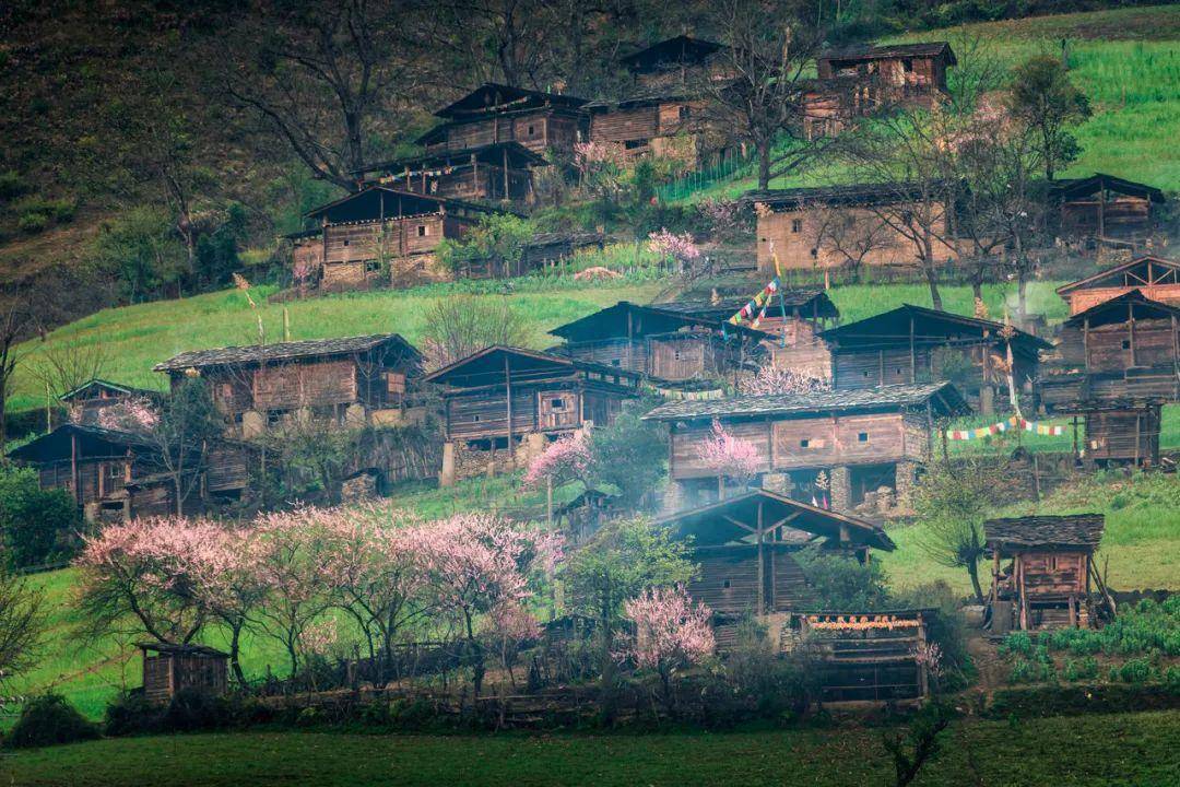李子柒消失55天后再爆红,我看到了14亿中国人向往的生活_村子_时光