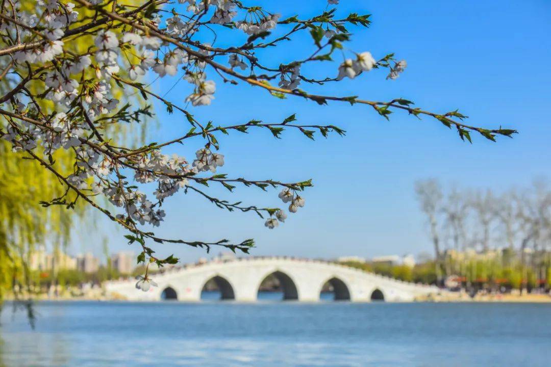 【美林漫步】一帘新雨后,人间又逢春_春雨_雨水_万物