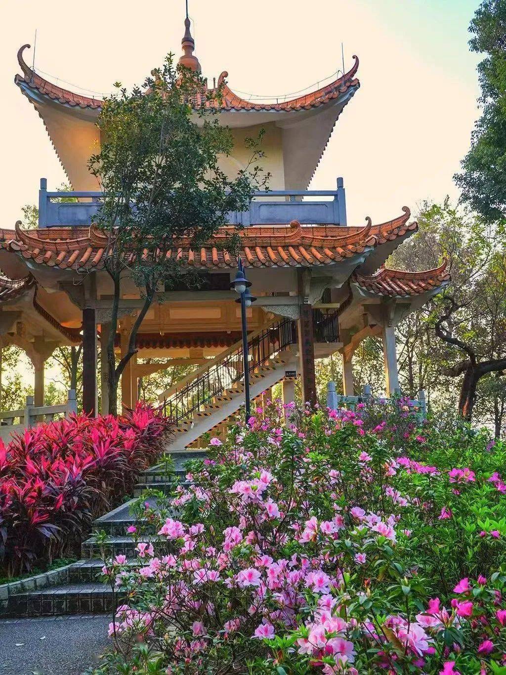 春天的脚步渐近,来广州白云山"走花路"!_芳园_麓湖公园_的花海