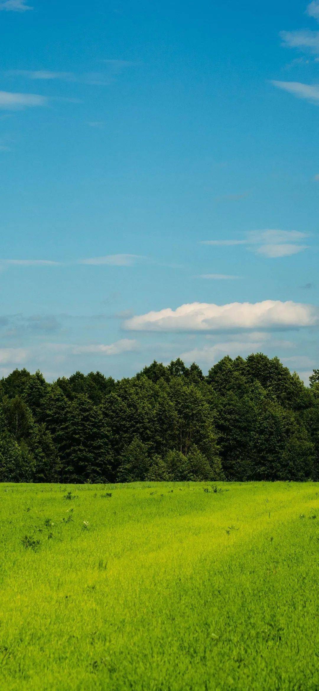 21 | 小头像 壁纸_难事_大事_小事