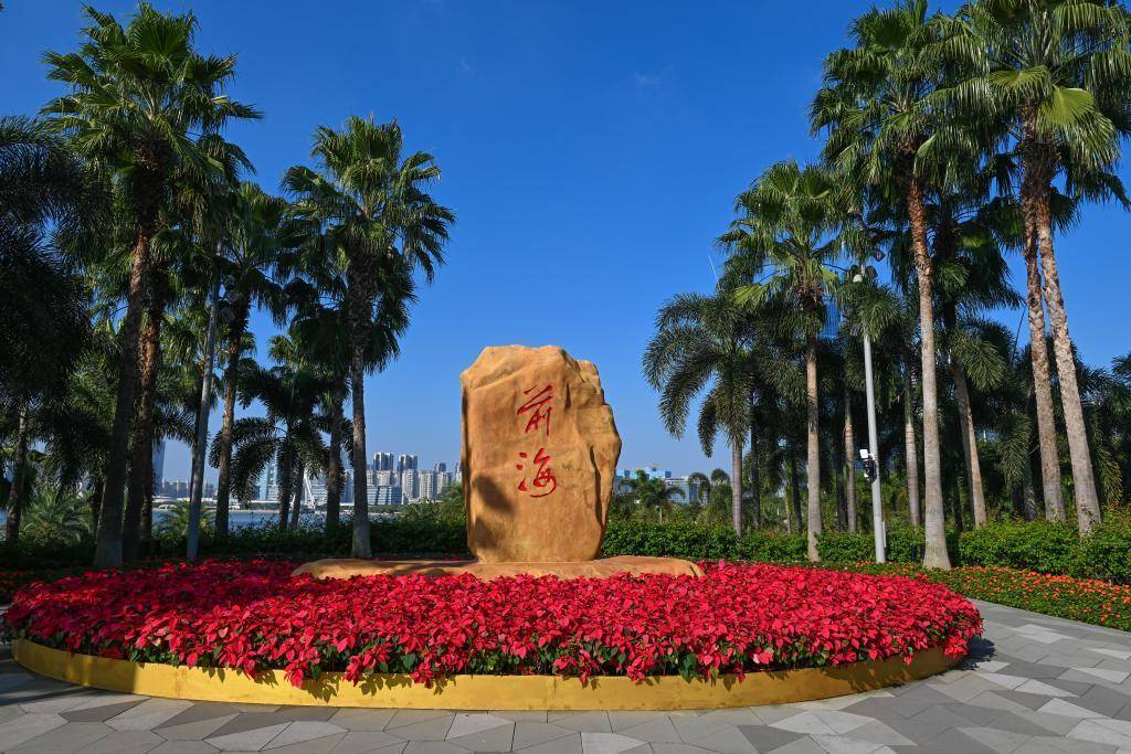 软硬联通,协同融合——《粤港澳大湾区发展规划纲要》公开发布五周年