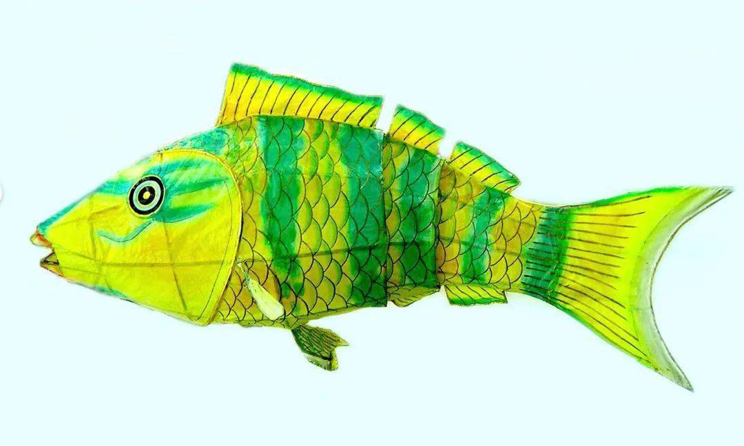 海洋生命力月报|二月:春风初萌 鱼灯绽放_深圳_红藻_海藻