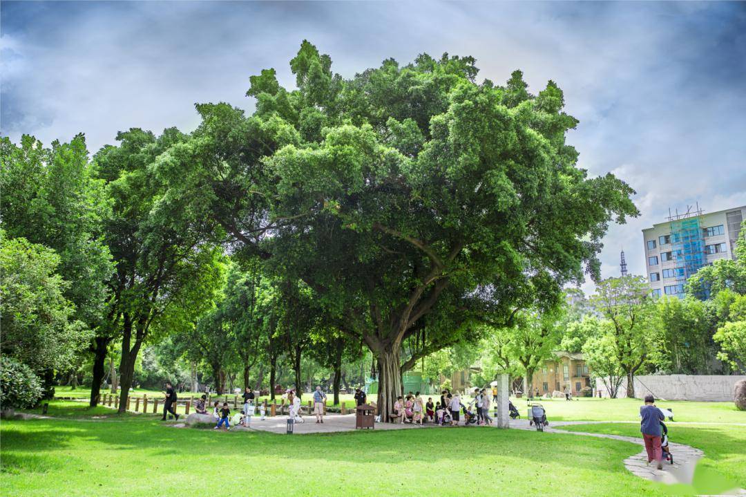 "口袋"里的春天_公园_城市_人们