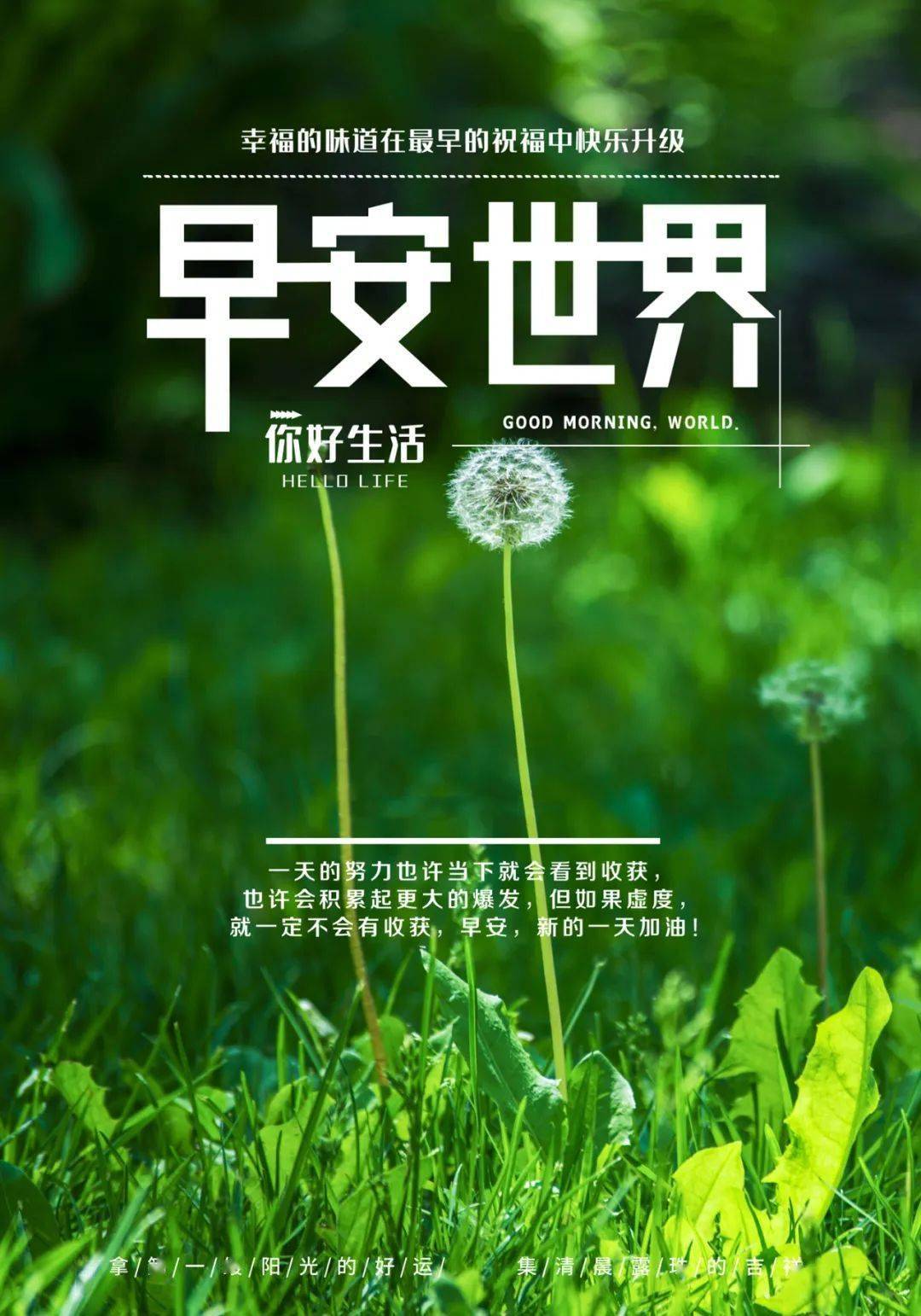 2月22日早安正能量奋斗语录句子:不要在本该奋斗的年纪选择了安逸!