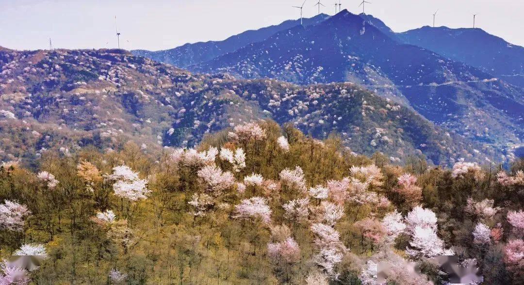 潜山国家森林公园图/咸宁闲游-潜山国家森林公园图/大洪山旅游图/大
