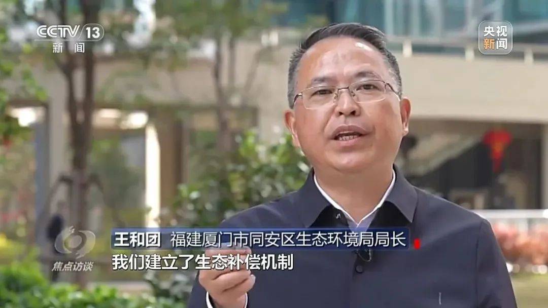 今天,央视《焦点访谈》聚焦!鹭岛:高颜值的蝶变_厦门_发展_沙滩