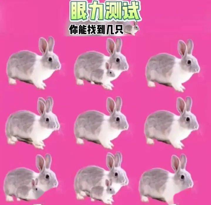 这张图中有15只兔子,看出9只的老花眼,能看出15只的还年轻!