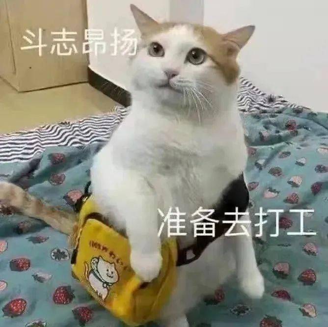 复工 搞笑图片