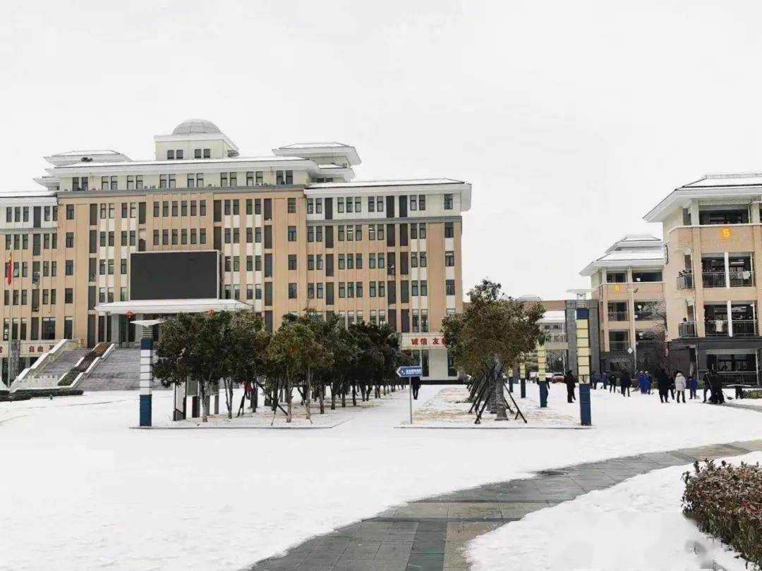 泗县一中泗县教体局在办公楼周边,包保路段清理冰雪.