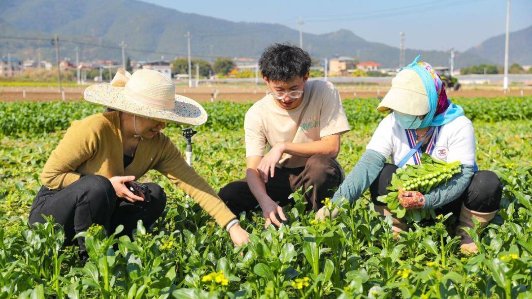 打开"田长巡田"app,同福村第三网格的村级田长林秋芳,镇级田长范志成