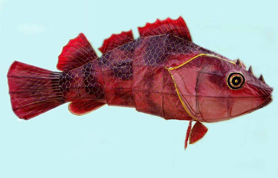 盐田鱼灯舞里还有石九公,钓鱼人最喜好这种鱼, 中文正式名是褐菖鲉,体