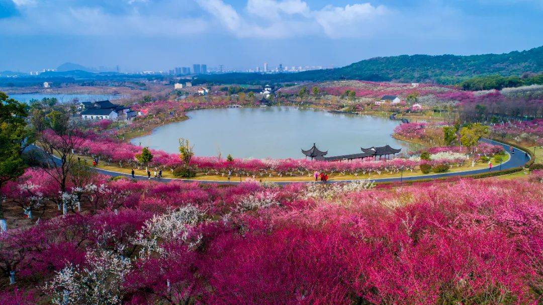 香山_梅岭_景区