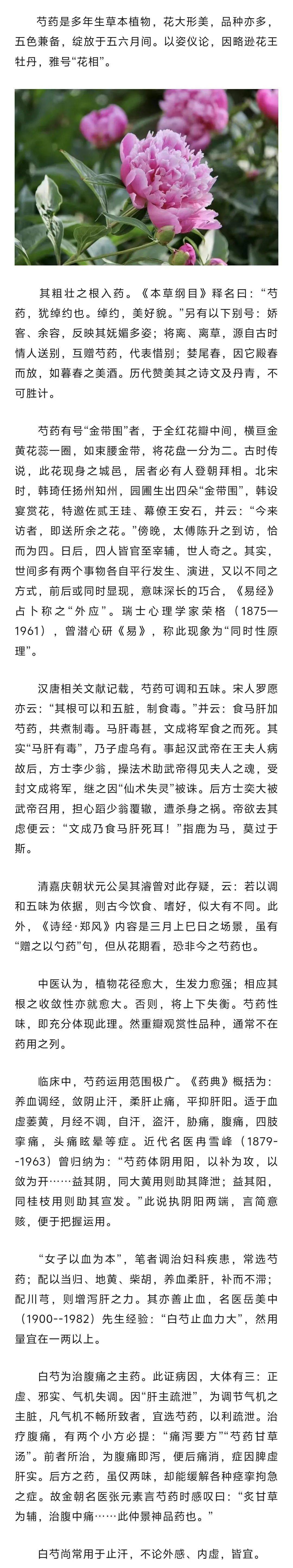 娇客施"妙计"_芍药_白芍_来自