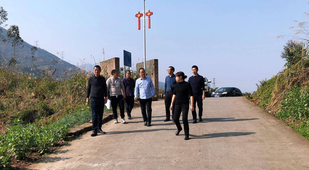 赛马比拼看基层 | 街镇部门这周在忙啥(第86期)_工作_检查_乡村