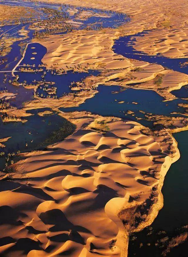 楼兰_古城_门票