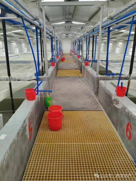 珠海利洋苗种繁育有限公司(简称"珠海虾苗场")坐落于广东省珠海市斗门