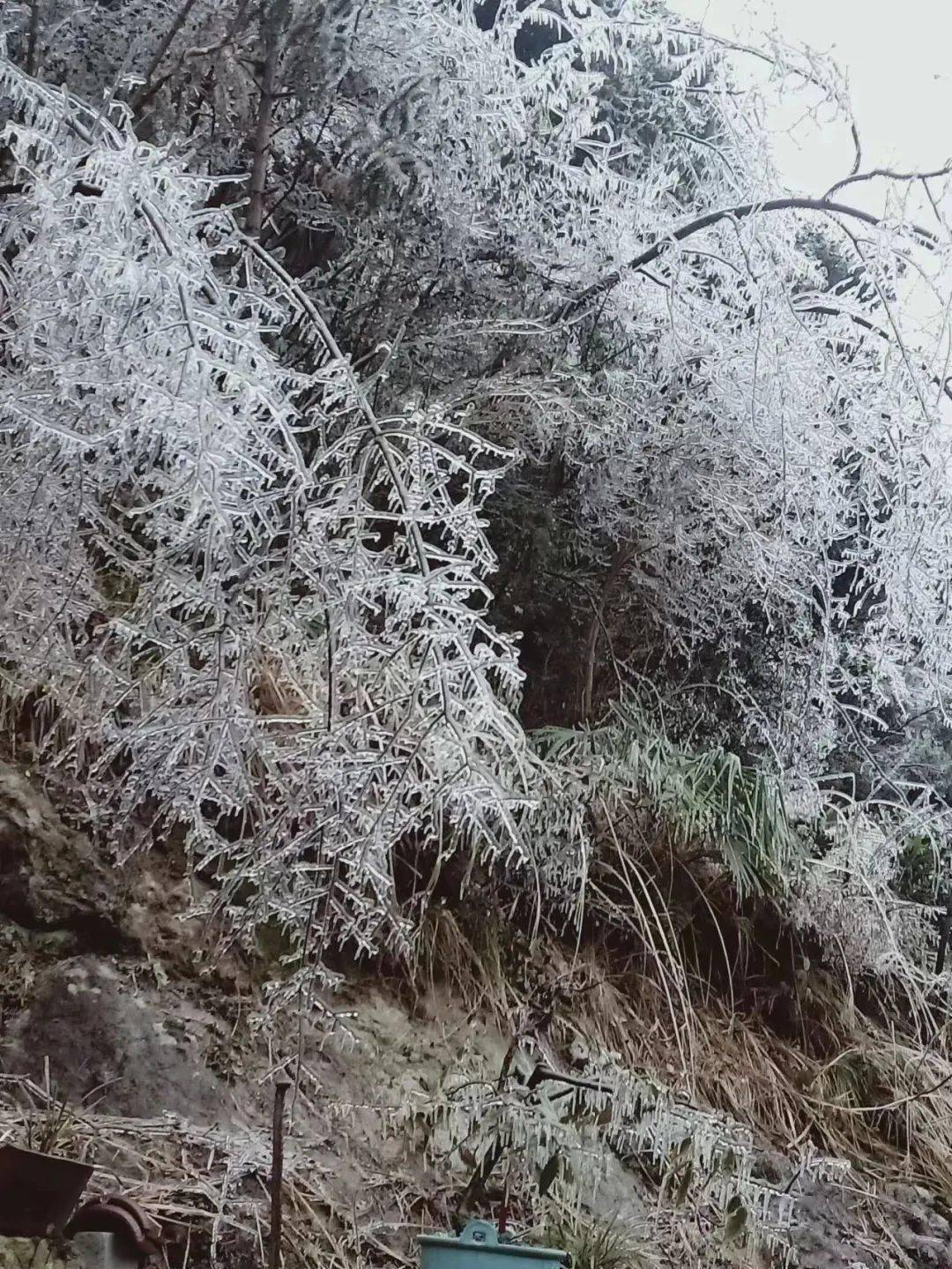 降温和风力增大天气过程永康