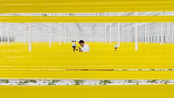 在浙江省湖州市德清县阜溪街道龙胜村水木"未来农场",技术人员观察