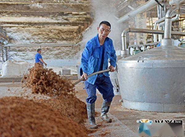 贵州醇酒业:全员复工快生产 开足马力酿好酒_企业_车间_市场