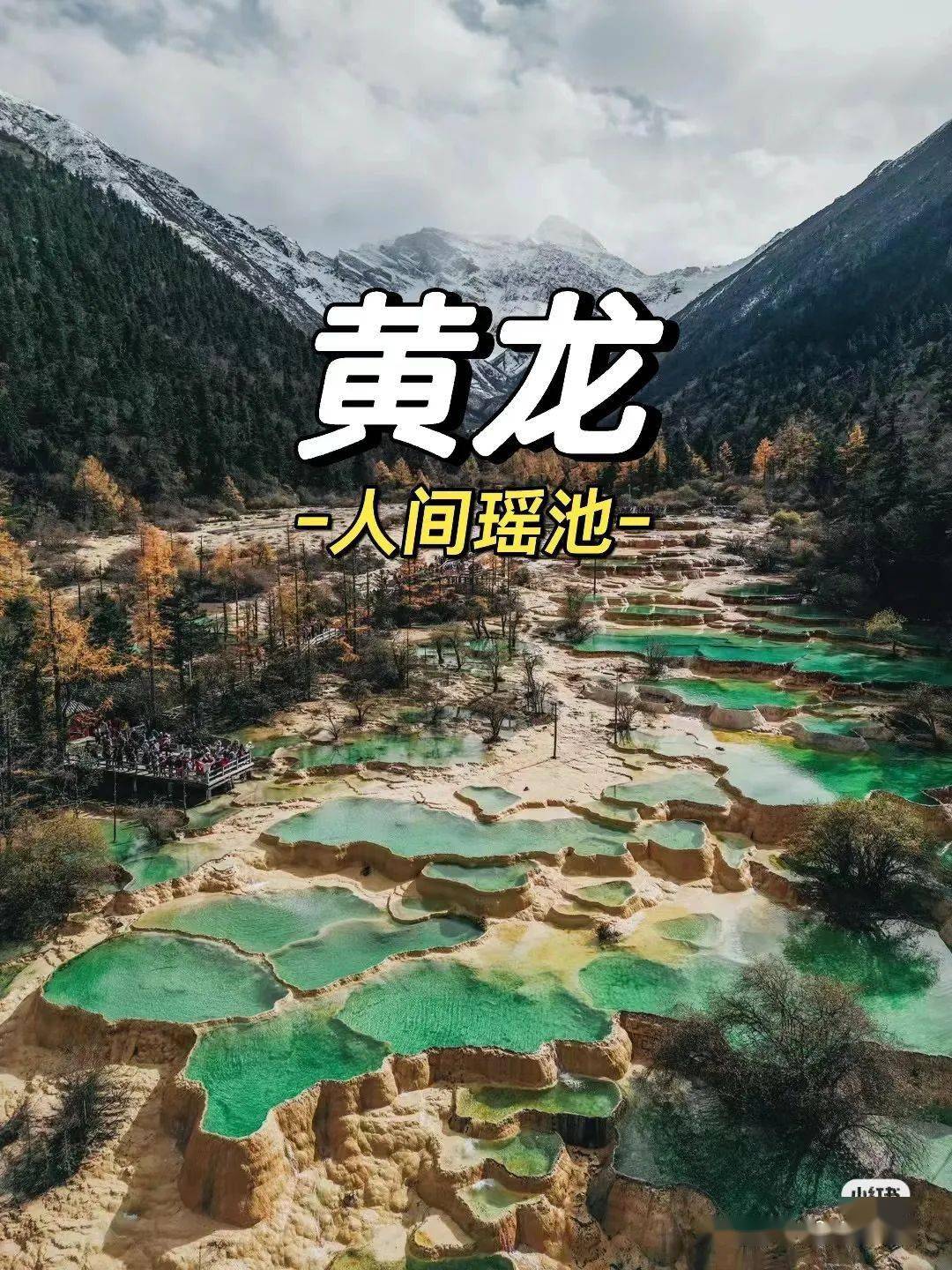 峨眉山,金顶,乐山大佛,熊猫基地,都江堰,黄龙,九寨沟,蜀南竹海,品质