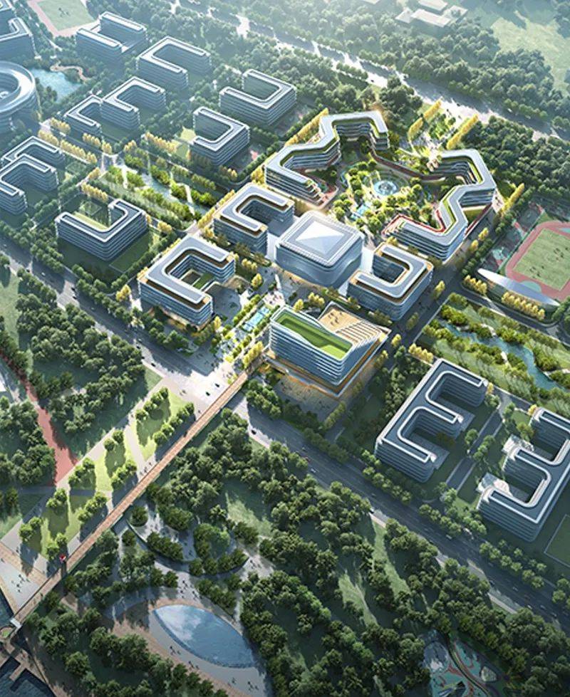 烟台将新增一所职业学校!_建设_项目_面积