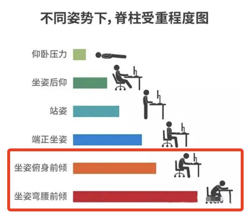 脊柱前屈后伸示意图图片