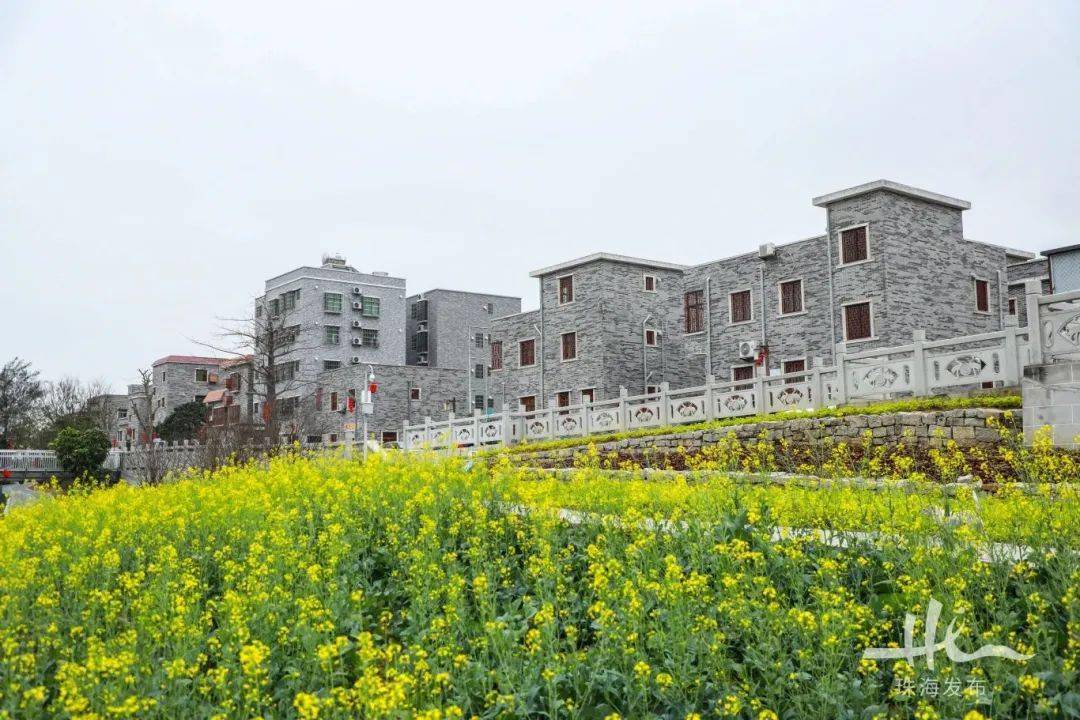 花海环绕,坐拥沙滩海景……_木头_三灶镇_发展