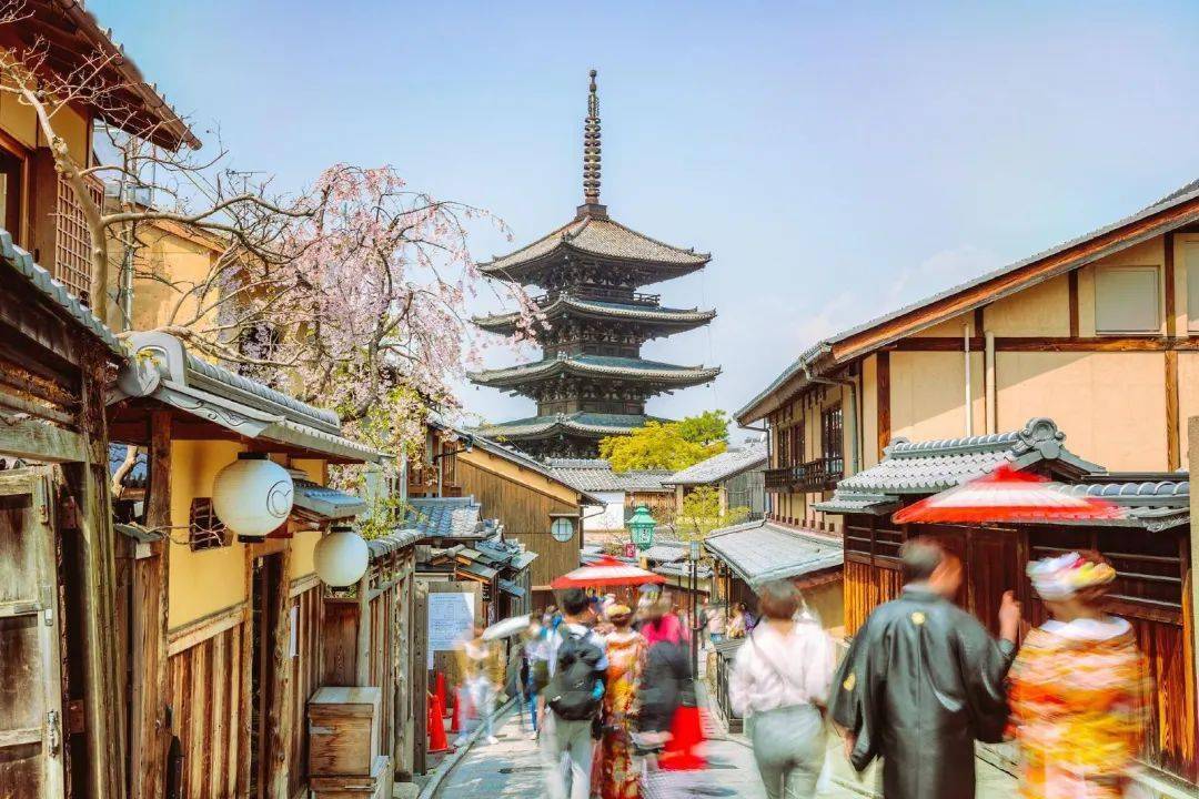 米其林评选的最美观光地,粉色花海秘境…这里才是春季游c位!