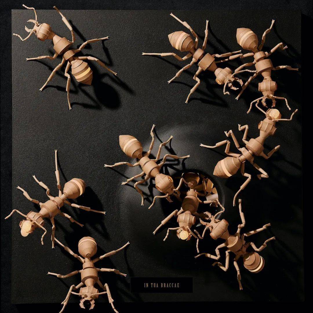 今天,让我们再来认识一位擅长手工制作的艺术创作者,他来自澳大利亚