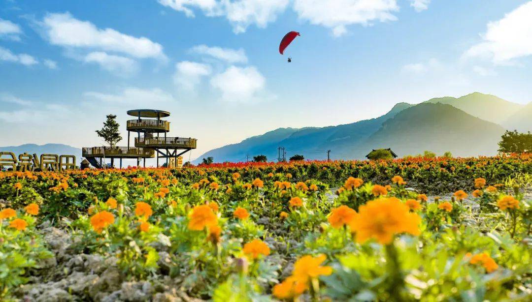 送你一份瑞安民宿游玩攻略(曹村篇)_地址_电话_山庄