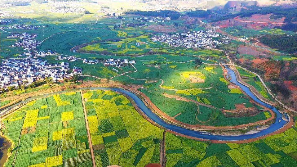 云南绝美金色花海来啦~_油菜花_青年_微博