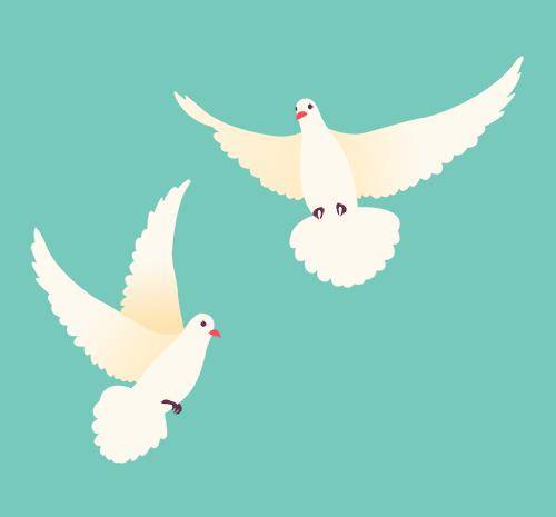 青鸟计划 | 泗水县2024年寒假大学生"返家乡"社会实践感悟(一)_工作