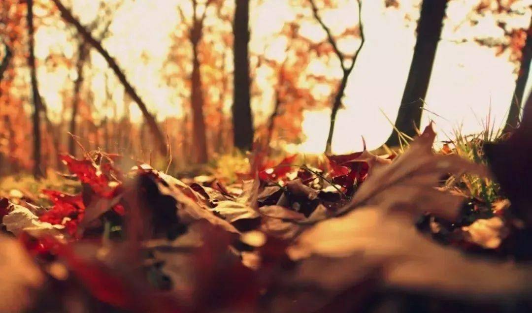 善待自己,不负此生!_生命_生活_人生