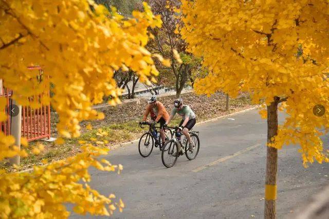 共享"莓"好时光,第五届昌平草莓节热闹开集_中国_温泉_辛庄村