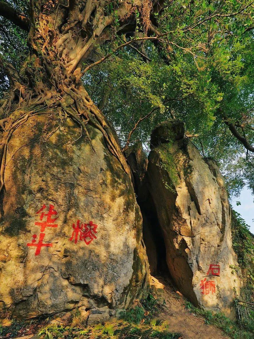 正月十六,莆田黄石镇华东村冲花祈福闹元宵_摄影_荔城区_陈金钵