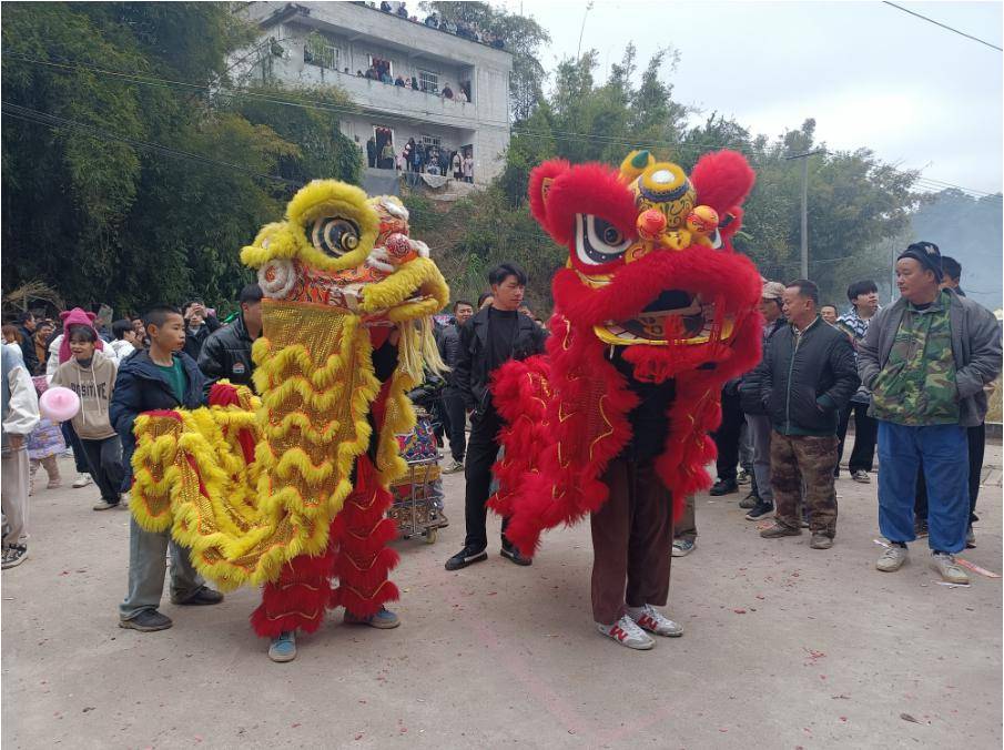藤县象棋镇甘村大田社"抢花炮"祈福活动真热闹