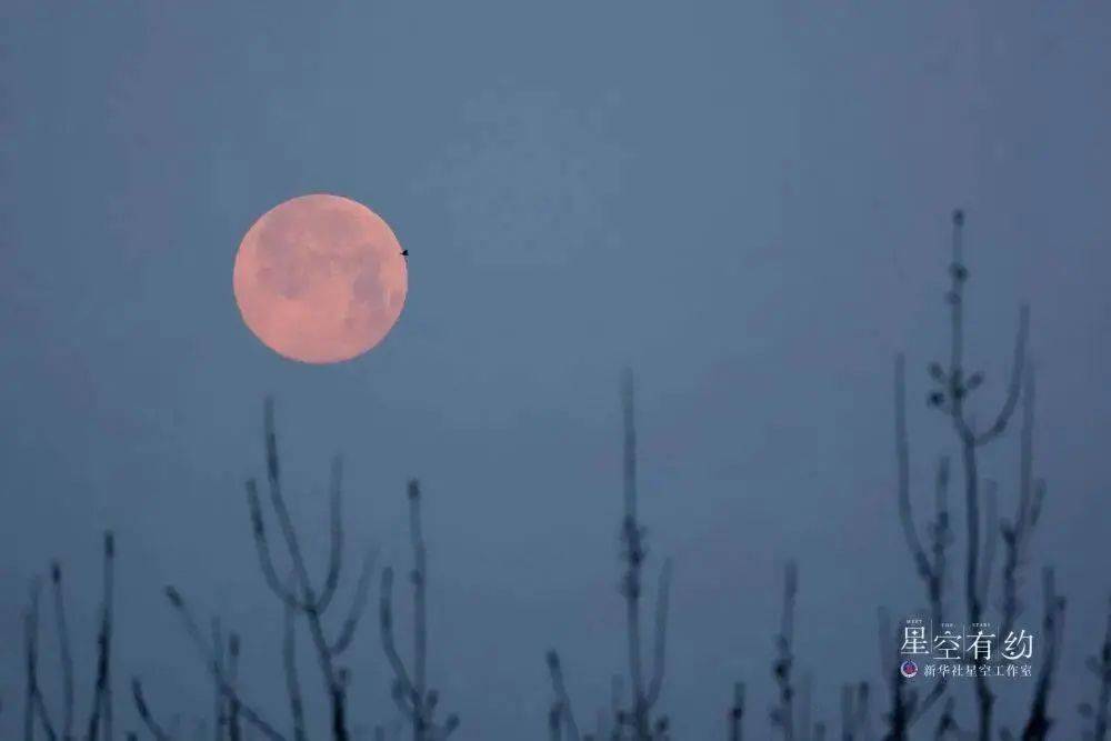 元宵节的幸运,就在今晚,错过再等62年……_满月_月球_北京市